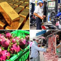 Tiêu dùng trong tuần: Giá vàng, xăng dầu tăng mạnh; trong khi giá trái cây và thực phẩm đều giảm