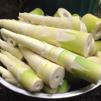 Mẹo phân biệt măng tươi tự nhiên và măng tươi ngâm hóa chất