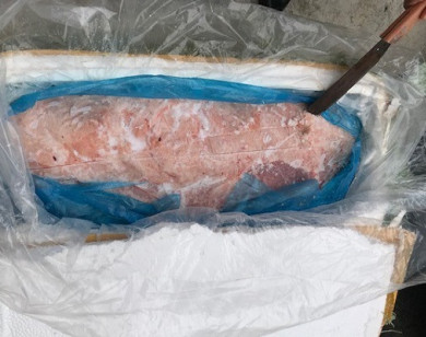 Tạm giữ hơn 1 tấn nầm lợn bốc mùi hôi thối nhập lậu từ Trung Quốc