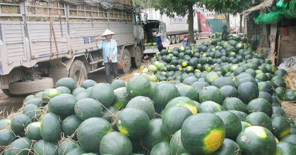 Bộ Công Thương cảnh báo xuất khẩu nông sản sang Trung Quốc