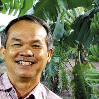 HAGL Agrico của Bầu Đức dự tính nhờ vào "vườn chuối'' để thoát lỗ