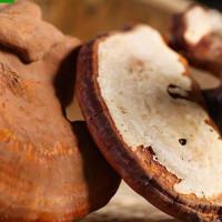 Mẹo phân biệt nấm linh chi thật và giả nhanh chóng