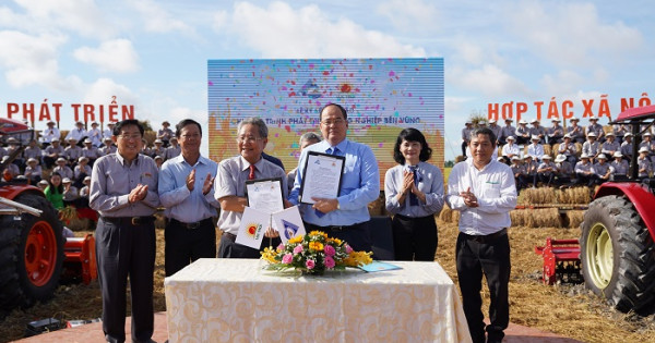 Lộc Trời phối hợp với tỉnh An Giang xây dựng chuỗi liên kết hợp tác xã nông nghiệp kiểu mới