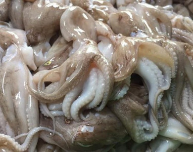 Nhật Bản "chuộng" mực, bạch tuộc Indonesia, "khắt khe" với Việt Nam