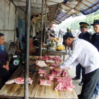 Hơn 54% mẫu thịt heo, thịt gà tại Hà Nội và Hà Nam nhiễm vi sinh vật Salmonella, E.coli...