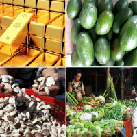 Tiêu dùng trong tuần: Giá vàng và thực phẩm đồng loạt tăng, trong khi giá trái cây giảm mạnh