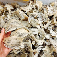 Giá tổ yến giảm kỷ lục chỉ còn 15 triệu đồng/kg