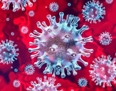 Virus SARS-CoV-2 từ các bệnh nhân ở Đà Nẵng là chủng mới, có đặc tính lây lan nhanh hơn
