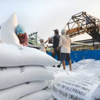 Việt Nam có cơ hội "soán ngôi" Thái Lan về xuất khẩu gạo