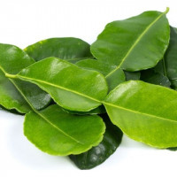 Bí quyết làm đẹp da bằng lá chanh