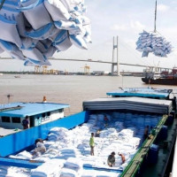 Xuất khẩu gạo Việt Nam đứng thứ 2 thế giới 