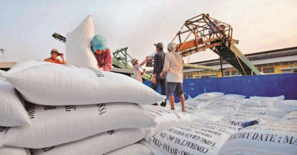 Giá gạo xuất khẩu Việt Nam trên đà tăng tốc, vượt Thái Lan