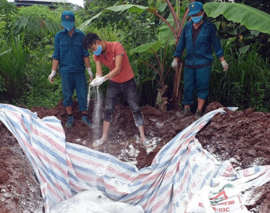 Giá heo hơi hôm nay 14/8: Dịch tả heo châu Phi bùng phát, giá heo sẽ tăng trở lại?