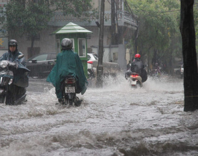 Dự báo thời tiết ngày 14/8: Hà Nội có mưa to và dông