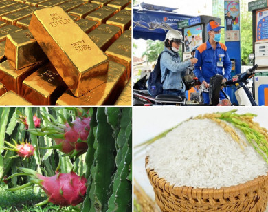 Tiêu dùng trong tuần: Giá vàng, xăng dầu, trái cây giảm mạnh; trong khi giá lúa gạo tăng cao