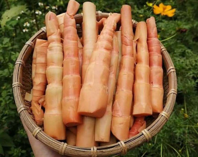 Măng le đỏ 200.000 đồng/kg vẫn hút khách