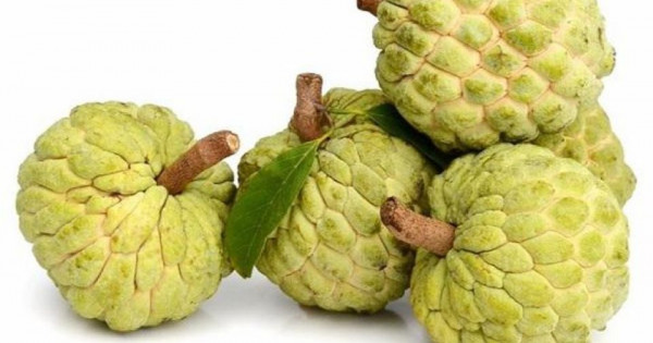 Cách chọn quả na vừa ngon, dày cùi lại không ủ thuốc