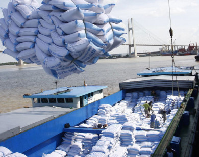 Giá gạo xuất khẩu của Việt Nam cao nhất 9 năm qua