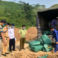 Lào Cai bắt giữ, tiêu hủy 720 kg nầm lợn và trứng gà non không có giấy tờ hợp pháp