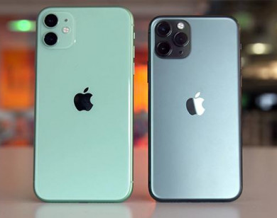 Trước ngày ra mắt iPhone 12, iPhone 11 giảm giá mạnh