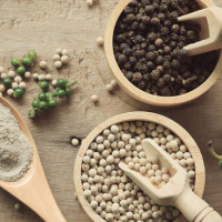 Giá tiêu hôm nay 8/9: Có nơi giảm nhẹ 500 đồng/kg