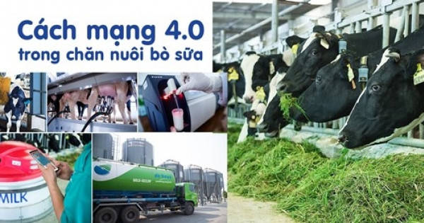 Hệ thống trang trại Vinamilk tăng trưởng về quy mô lẫn hiệu quả hoạt động