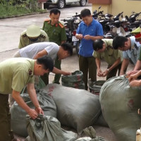 Bắt giữ gần 350kg nguyên liệu thuốc bắc nhập lậu ở Lạng Sơn