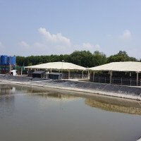 ADM áp dụng giải pháp nuôi tôm thâm canh tiết kiệm nước để bảo vệ môi trường