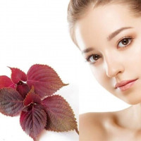 4 cách đơn giản giúp chữa trị mụn thịt dứt điểm