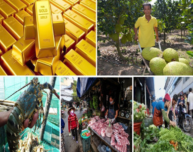 Tiêu dùng trong tuần: Giá vàng, thực phẩm và trái cây đồng loạt tăng mạnh