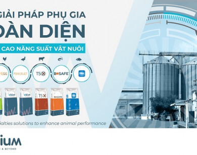 Wisium Việt Nam ra mắt bộ giải pháp phụ gia toàn diện giúp tăng năng suất vật nuôi