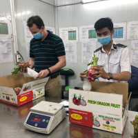 Trái cây tươi Việt Nam chuẩn bị tiếp tục xuất khẩu sang Mỹ sau dịch Covid-19