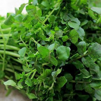 Những thực phẩm giúp phụ nữ tươi trẻ mỗi ngày