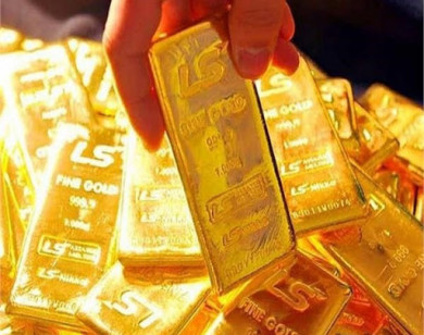 Giá vàng hôm nay 26/9/2020: Vì sao vàng quay đầu giảm giá mạnh?