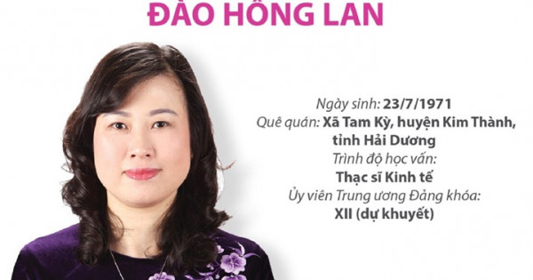 Chân dung 12 Bí thư Tỉnh ủy mới được bầu trong tuần