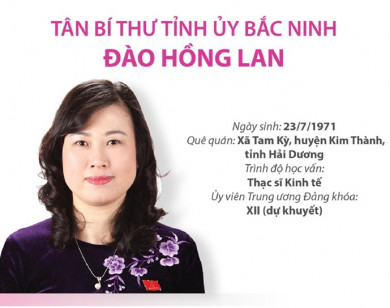 Chân dung 12 Bí thư Tỉnh ủy mới được bầu trong tuần