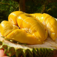 Trái cây tuyệt đối bạn không nên ăn buổi tối