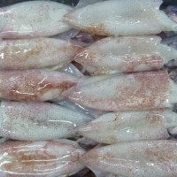 8 tháng đầu năm, xuất khẩu mực, bạch tuộc sang Trung Quốc tăng 53%