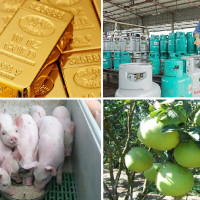Tiêu dùng trong tuần: Giá vàng, trái cây tăng vọt; trong khi giá thực phẩm giảm mạnh