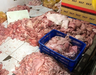 Đồng Nai: Tiêu hủy gần 1,5 tấn mỡ và da lợn thối sắp đưa đến TP Hồ Chí Minh tiêu thụ