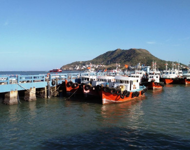 Bà Rịa - Vũng Tàu: Đề xuất xây dựng cảng tàu khách quốc tế
