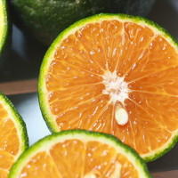 Mẹo chọn cam sành mọng nước, ngon ngọt