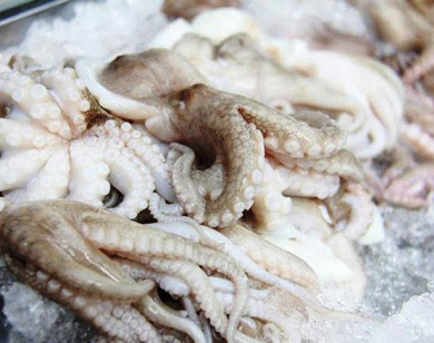 Xuất khẩu mực, bạch tuộc của Việt Nam tăng hơn 20% trong tháng 9/2020
