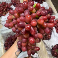 Bất ngờ nguồn gốc của 