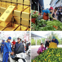 Tiêu dùng trong tuần: Giá vàng, trái cây, xăng dầu đồng loạt giảm mạnh