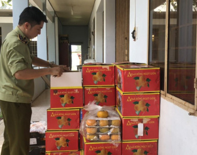 Bắt giữ gần 1,2 tấn trái cây nhập lậu đang tuồn ra thị trường