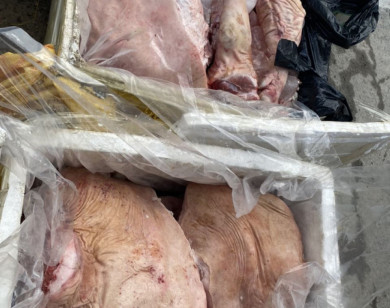 Hà Giang: Tiêu hủy gần 300 kg thịt lợn đông lạnh không nguồn gốc xuất xứ