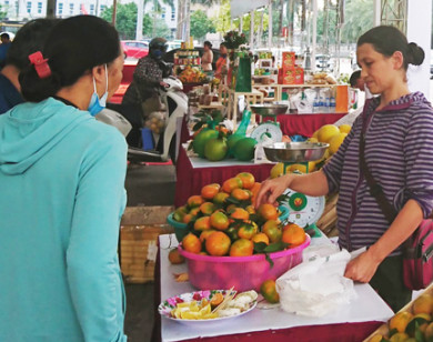 Tuần lễ cam Hưng Yên, mang đến người tiêu dùng Thủ đô những sản phẩm chất lượng