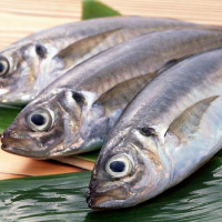 3 cách bảo quản cá lâu bị ươn không cần tủ lạnh