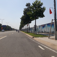 Thanh tra Chính phủ công bố quyết định thanh tra đất đai tại Bình Dương